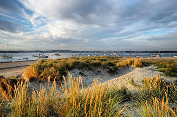 The sand dunes at West Wittering beach, West Sussex, UK