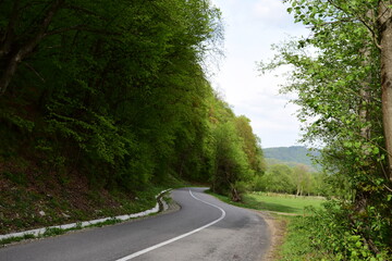 Road winding at the base of a forested hill