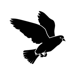 dove vector design. pigeon illustration. racing pigeon flapping wings
