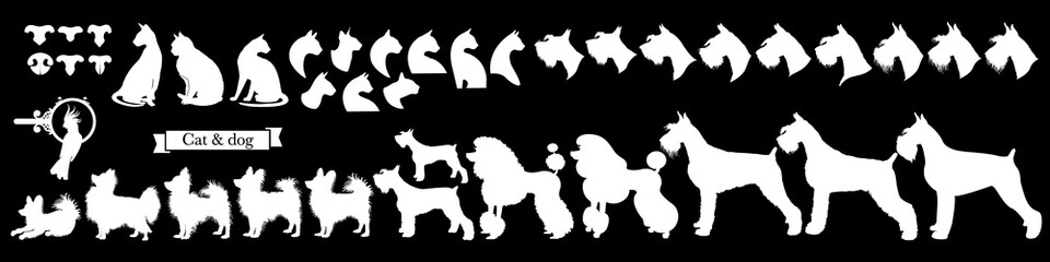Set of pet icons. Miscellaneous signs of cats, dogs, parrot and cat and dog noses. Vector Illustration