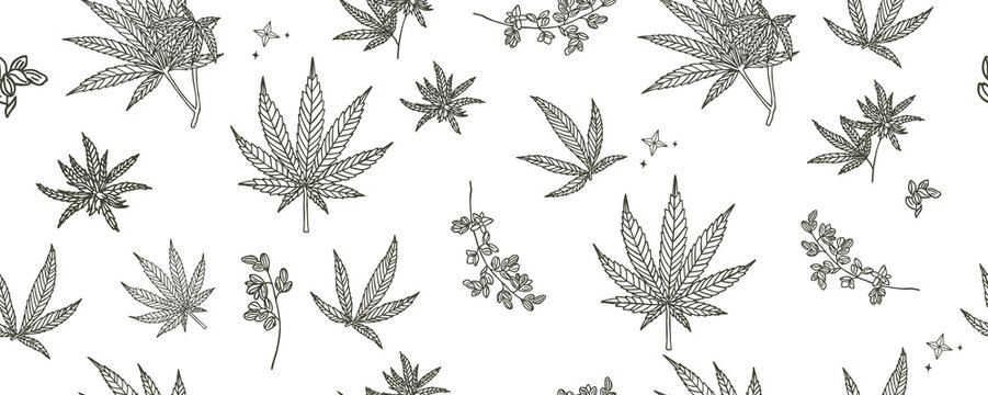 cannabis seamless pattern background.Vector illustration for banner and product
