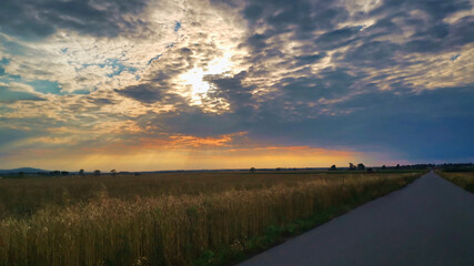 Naklejka na ściany i meble Cloudy sky over the grain field with the rays of the sun breaking through.