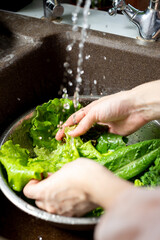 Wash vegetables in the kitchen. Housewife's hand cleans green salad in water. Wash fresh vegetables in a sink. The concept of healthy food, healthy lifestyle, self-care.