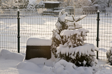 Composter box and vetegable bed covered with snow, backyard winter season scene