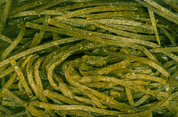 closeup of the pickled seaweeds
