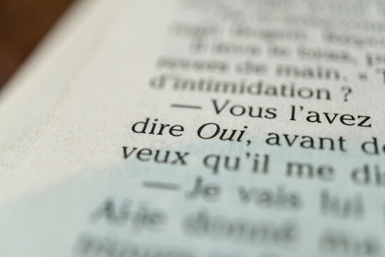 Livre fran&ccedil;ais: dire oui