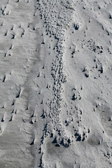 Beach sand ridges