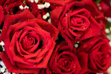 Closeup bouquet of red roses