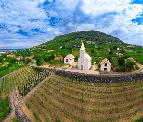 Somlo Hungary vineyard in wine region