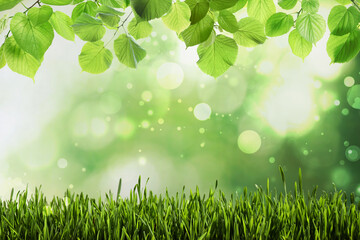 Fresh green grass on blurred background, space for text. Spring season