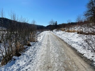 winter landscape with snow