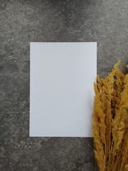 a white leaf and a branch of a dried flower on a gray background