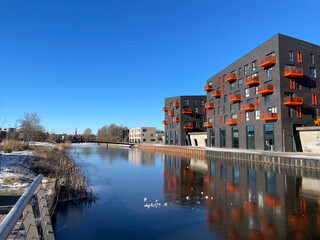 Winter in Europapark Groningen with frozen water and a clear blue sky - obrazy, fototapety, plakaty
