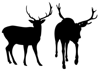 Big wild deer in the set.