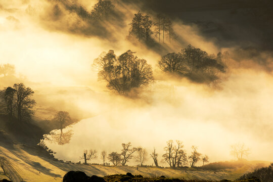 Looking down onto Loughrigg Tarn above valley mist formed by a temperature inversion on Loughrigg, near Ambleside in the Lake District National Park, with walkers.