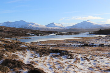 landscape with snow