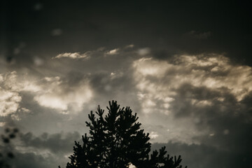 Severe cloudy sky landscape with tree