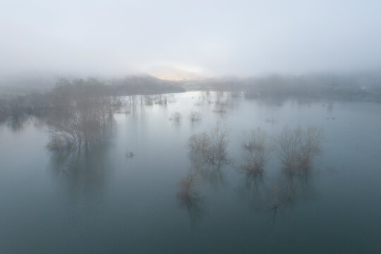 Trees and fog from aerial view