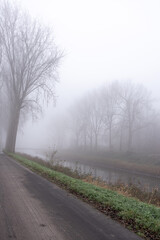 Scene along a canal with trees in the mist
