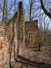 Fototapeta na wymiar Building ruins from bricks in the forest in sunlight.