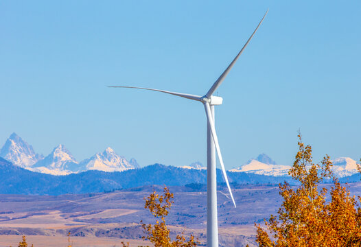 Wind turbines in field against blue sky and mountains