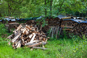 Brennholzstapel im Wald
