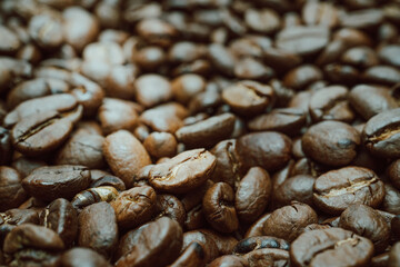 Fresh warm Coffee Beans in the Light. Background