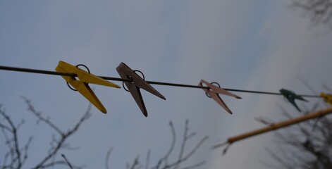 freedom