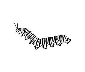 caterpillar icon vector hand drawn art
