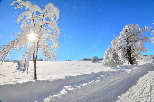 Winter
