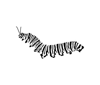 Caterpillar Icon Vector Hand Drawn Art