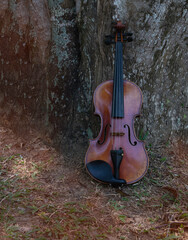 Violin against on wooden wall,show detail of acoustic instrument