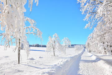 Winter