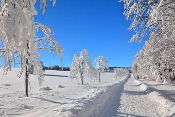 Winter