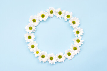 Nature background, white daisies arranged in a circle on white background with copy space