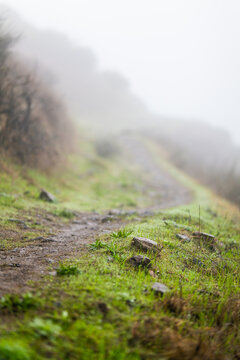 Sun comes out of intense fog illuminating rocks and grass across trail