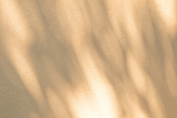 Abstract  light shadow of leaves blurred background. Natural diagonal leaves tree branch shadows and sunlight dappled on white concrete wall texture