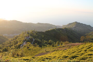landscape in the mountains