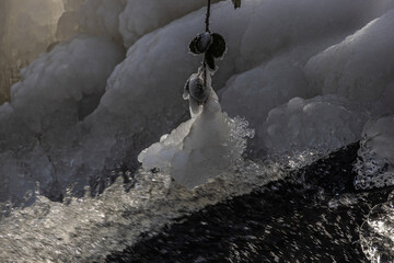 Iced branches by the beck