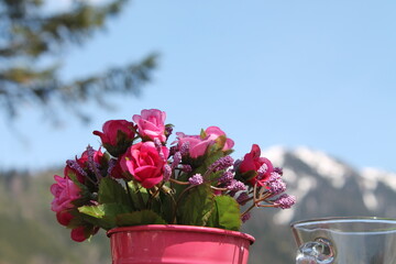 pink tulips in a vase