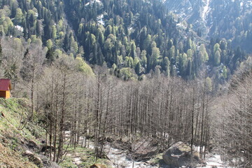 landscape in the mountains