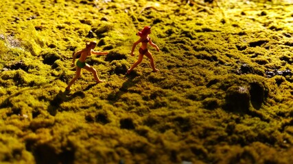 green moss on the stone