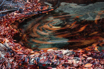 Obraz na płótnie Canvas Yellow-brown autumn leaves swirl in the whirlpool of a mountain stream