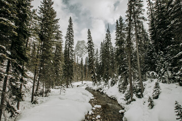 clear stream flows through winter landscape in forest and mountains