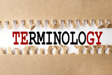 Terminology. text on white paper over torn paper background.