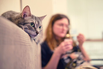 Pet on the bed watching a movie on tv next to a woman