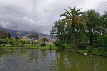 Portugal - Madeira - Funchal - Santa Catarina Park