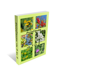 Buch mit Heilpflanzen vor weißem Hintergrund, 3d-Illustration