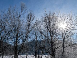 Schlichemklamm im Winter 