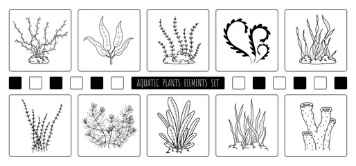 Abstract hand drawing of aquatic plants elements design of element set. Freestyle of drawing for icon and use background. illustration - 413843751